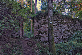 Bernhard Saalfeld - Ruine Wineck